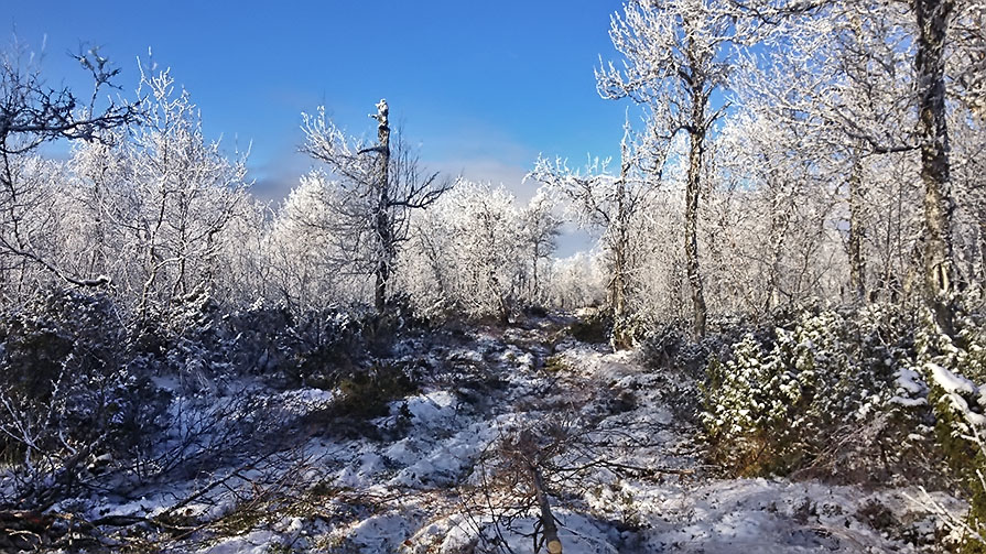 Näsbergsrundan hösten 2012.