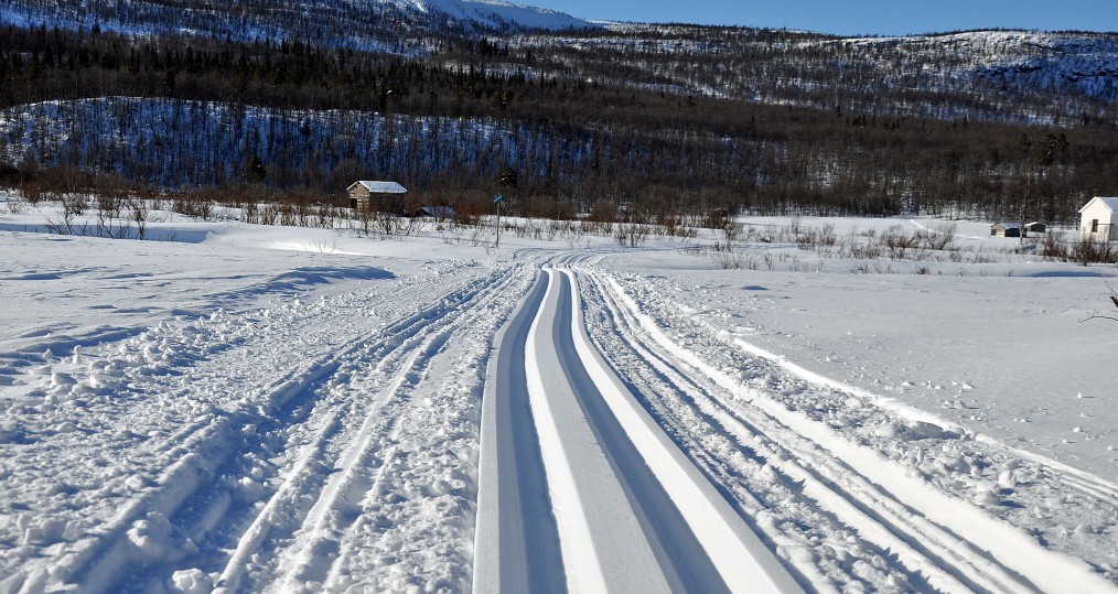 Härlig naturupplevelse längs vasaloppspåret