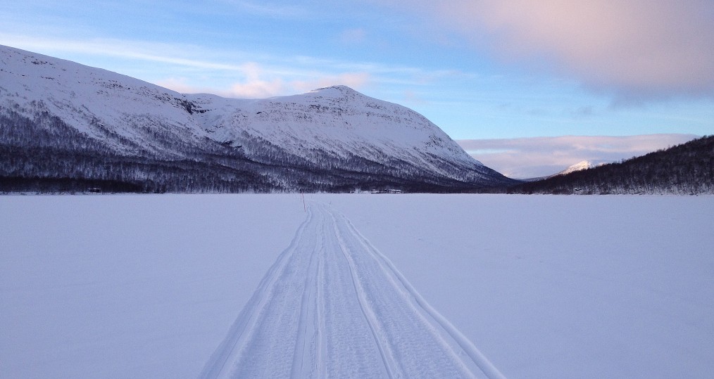 Bild från Tjulträsk där det nu är stakat