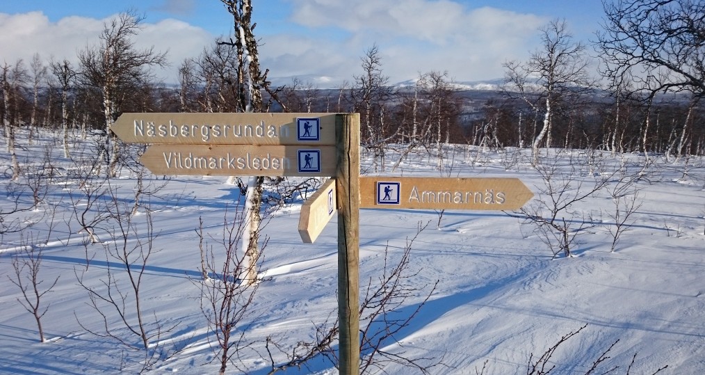 Nu har vi satt upp nya skyltar längs våra skidspår