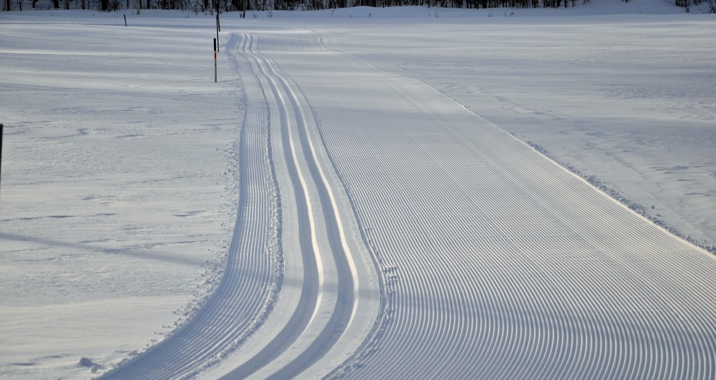 Fina skidspår nu i vårat område